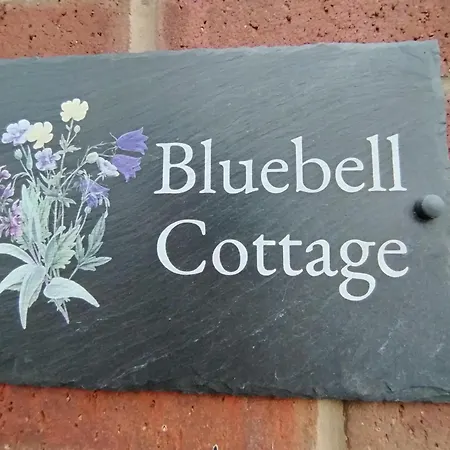 Bluebell * בורוברידג'