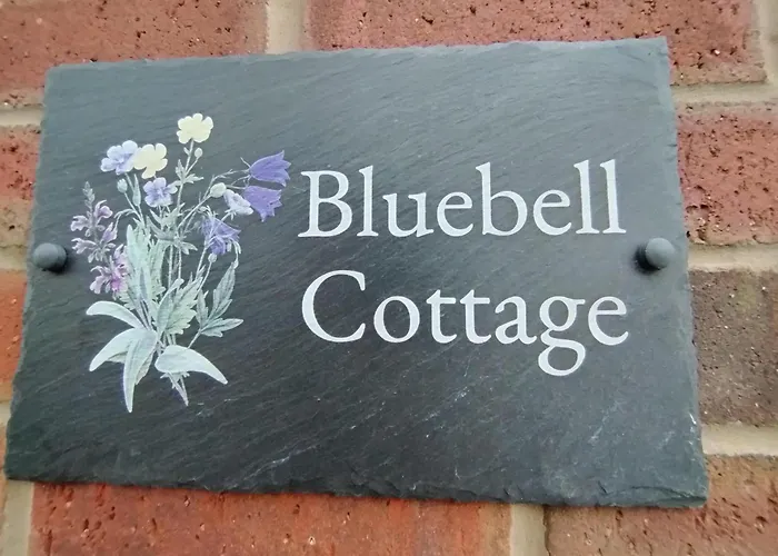 Bluebell * בורוברידג'